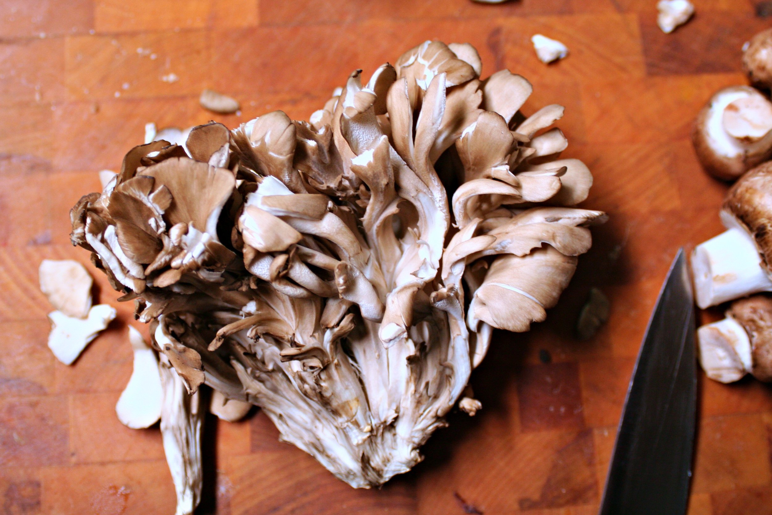 Mushroom ... Ragu? and Peace of Mind